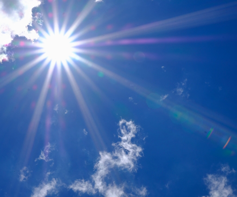 夏の太陽