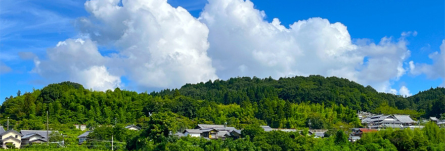 田舎の風景