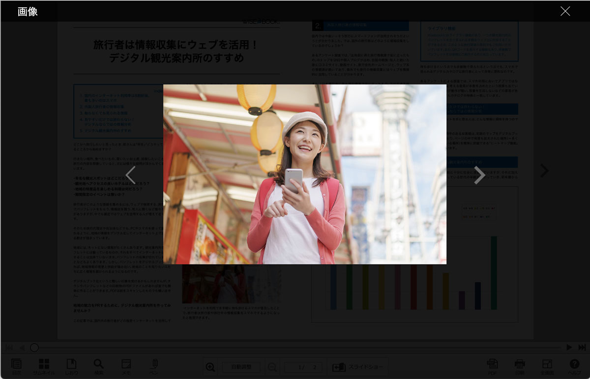 埋め込み画像をクリックし拡大した様子